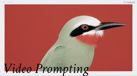 Slide "Video Prompting": section title with green bird on red background