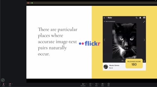 Same series, Flickr: Wouter's own photo captioned "My cat," relevance 180. Photographers tag to be found; that behavior became training data.