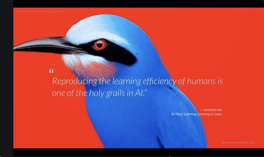 Quote slide, blue bird close-up on red background: "Reproducing the learning efficiency of humans is one of the holy grails in AI.": Jonathan Hui,...